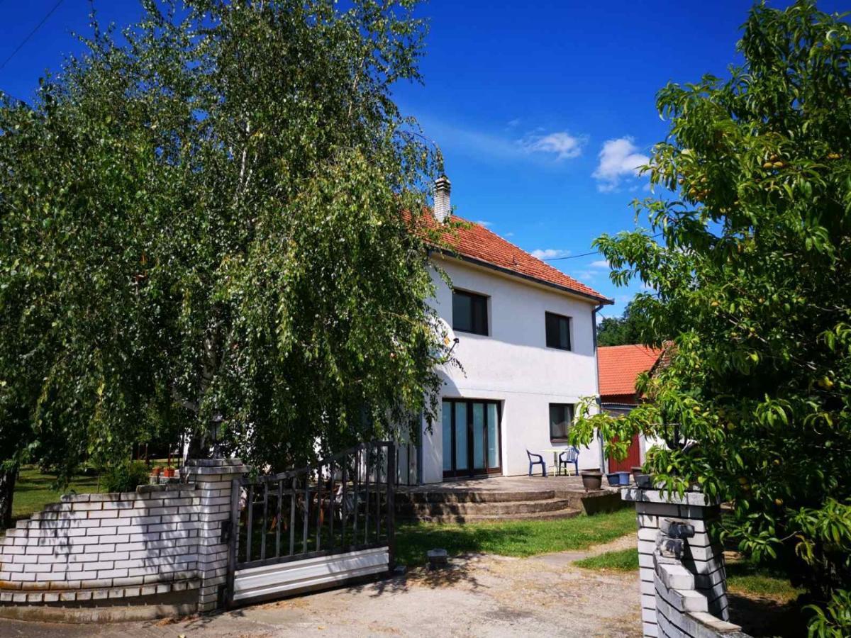 Villa Kuca Na Selu Sa Bazenom Stitar Exterior foto