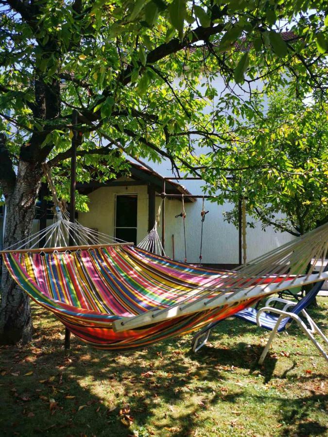 Villa Kuca Na Selu Sa Bazenom Stitar Exterior foto